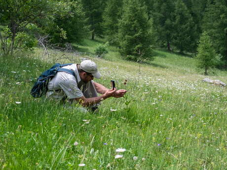 Inventaire de la biodiversité