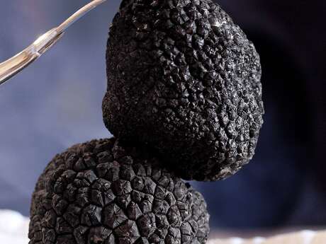 Truffle week-end