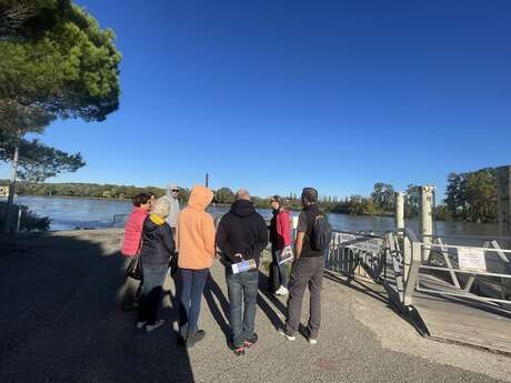 Avignon au fil des crues du Rhône