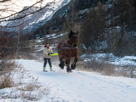 Provence Equiservices - Ski joëring