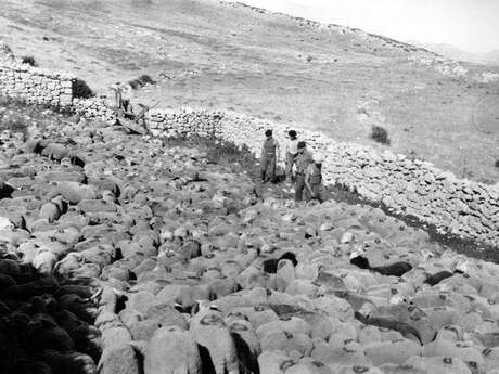 Exposition “Paysages façonnés”