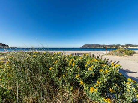 Plage des Sablettes