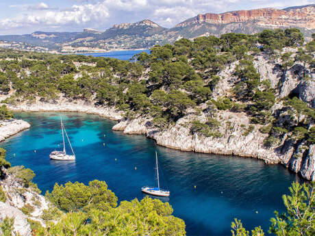 Sortie privative matinée calanques