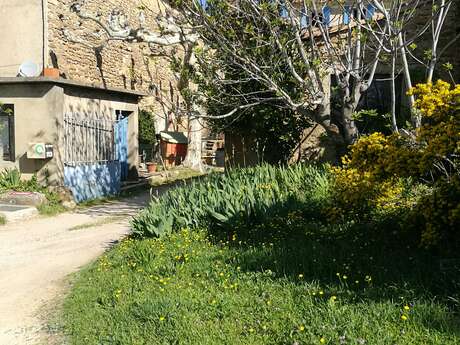 Domaine Maître Curnier