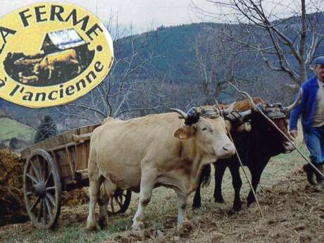 Sortie découverte "La Ferme à l'ancienne"