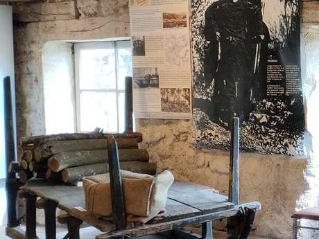 Visites sur le pouce au cœur de l'exposition temporaire - Musée Alice Taverne