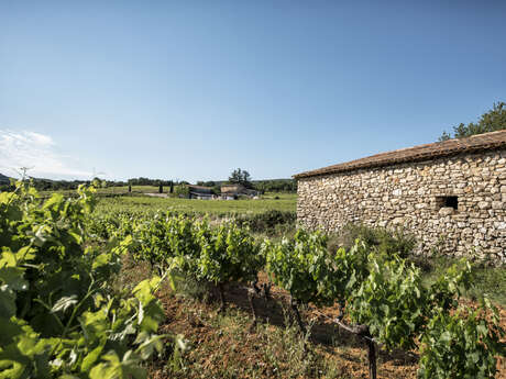 Domaine de Mayol