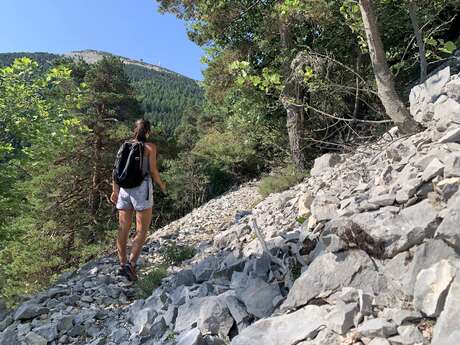 SAINT-LEGER-DU-VENTOUX - Ascension du Ventoux Face Nord
