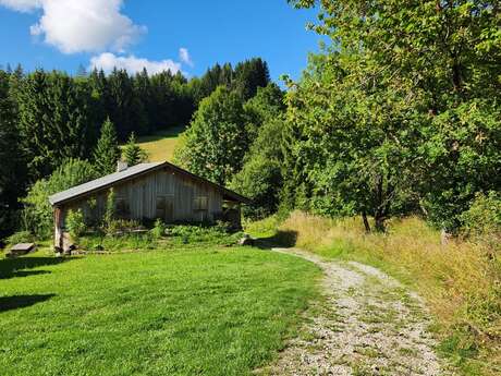 Sentier de randonnée - Le Tour de la Mâche