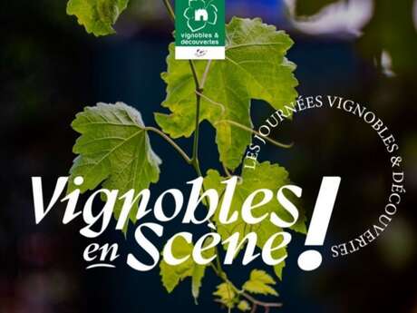 Vignobles en scène - Domaine de la Courtade