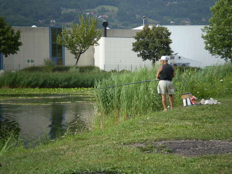 Site de pêche du Lac de la Motte-Longue