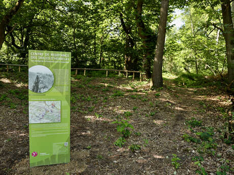 Parcours « Découverte du Centre de Résistance de la Première Guerre mondiale» en forêt départementale des Tailles d’Herbelay