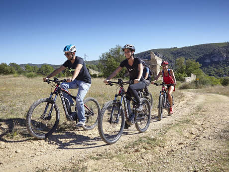 Site VTT FFC - Provence Verdon - Circuit 29 - Bleu - Saint-Julien-le-Montagnier