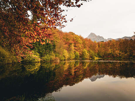 Autour du lac de La Beunaz et du lac noir