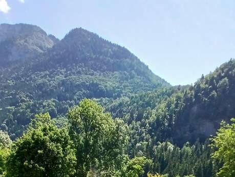 Jardin Alpin