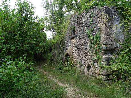 Le sentier de Courourette