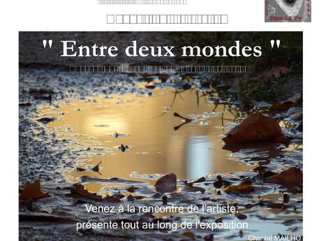Exposition de photographies et séance de dédicace livres