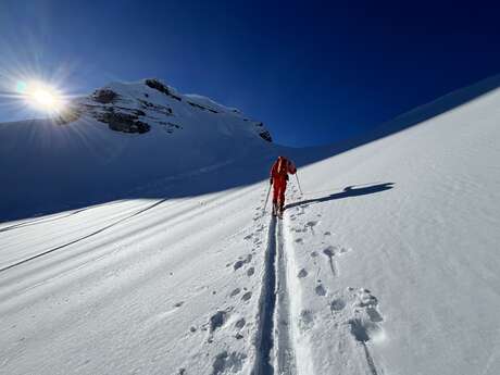 Sortie ou stage en ski de randonnée
