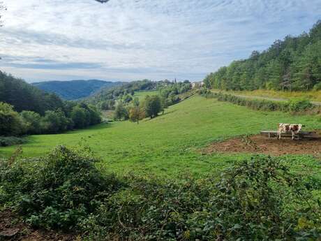 Tour du plateau d'Arnans - Crête des Trénoz