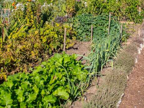 Festival „Ventoux Saveurs“ – Workshop: Wasser sparen im Gemüsegarten