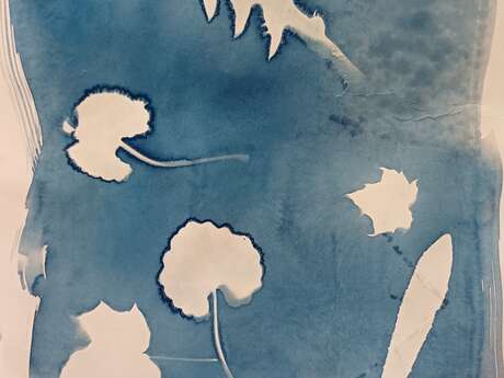 Jardins en cyan