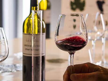 Atelier Ampélographie : de la vigne au vin à La Cavale - Cucuron