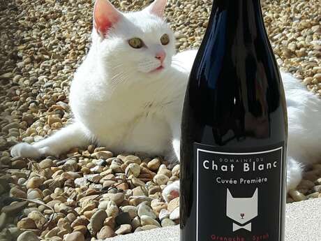 Le Domaine du Chat Blanc