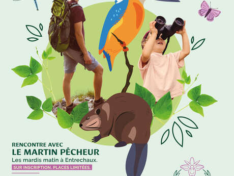 Les orchidées sauvages - sortie naturaliste en famille avec Ecovirado