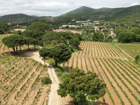 Le Clos de Ste Maxime