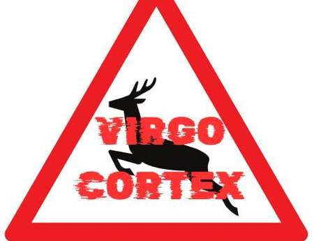 Groupe Virgo Cortex