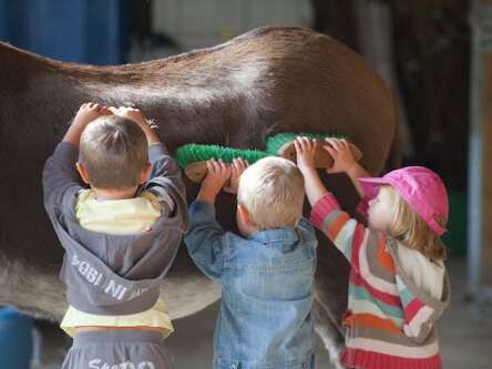 Mini-internship on the farm - "Mini fermiers"