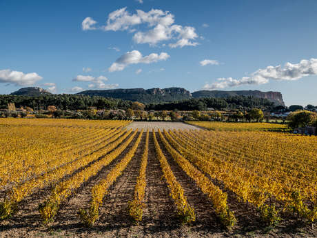 Domaine Cassis Bodin