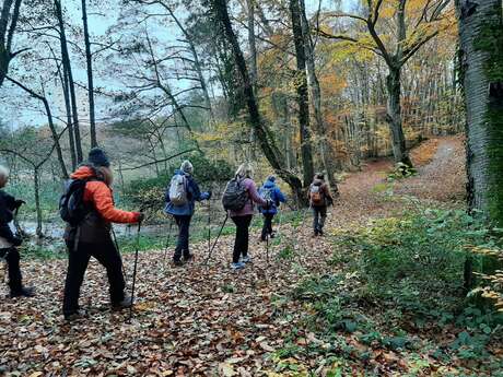 Les sentiers de Florent - Nordic walking/healthy sports - weekly outings all year round