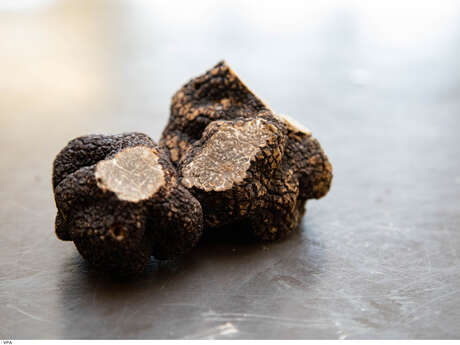 Jean-Marie Cheilan - Trufficulteur