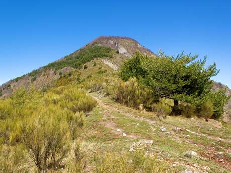 Tour de la Grande Fistoire