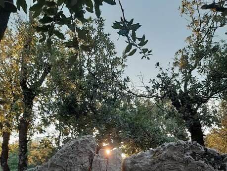 Promenade "Parcours découverte du patrimoine Monsois" - Mons