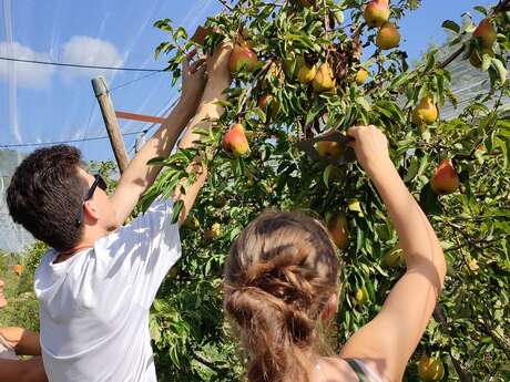 Visite exploitation agricole lycée Aix Valabre Marseille – Campus Nature Provence - Indus'3Days