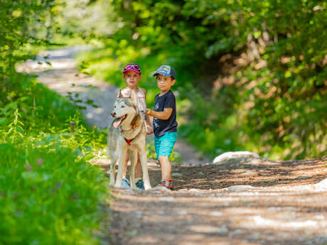 Cani-balade outing facing Mont Blanc