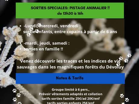 Découverte du pistage animalier