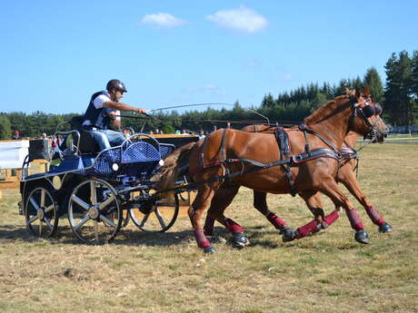 Concours National d'Attelage