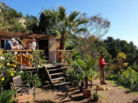 Self-guided tour of Domaine Gannac
