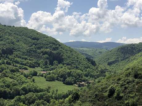 THEMED PATH: The larch forest path