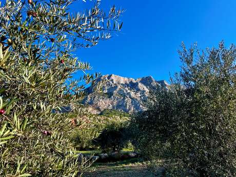 Randonnée Sainte Victoire