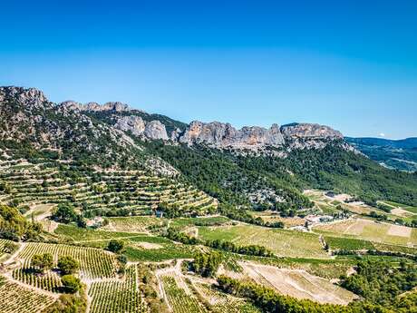 La Table dans les Vignes