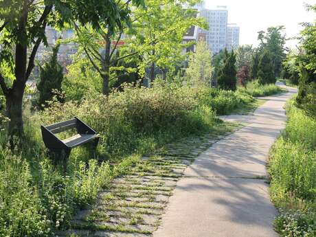 Rencontre : la gestion différenciée des espaces verts - Nuits de la lecture