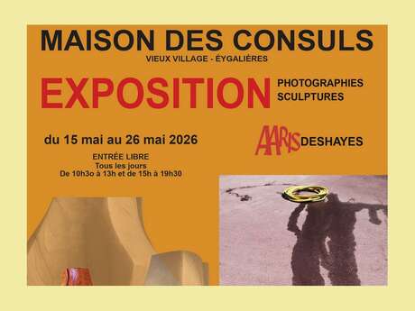 Exhibition by Aaris Deshayes