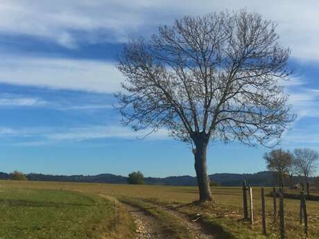 Sentier La croix de la Sauteuse