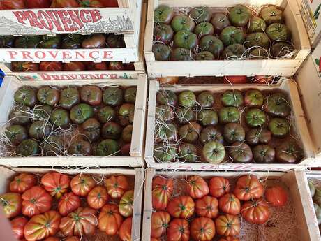 Vente à la ferme Légumes MARTINO