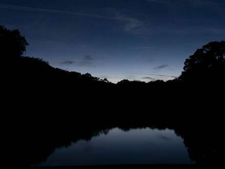 Animation enfant 7-13 ans aux marais de Lavours - Safari nocturne