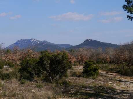 MAZAUGUES - La glacière de Pivaut et le Gaudin